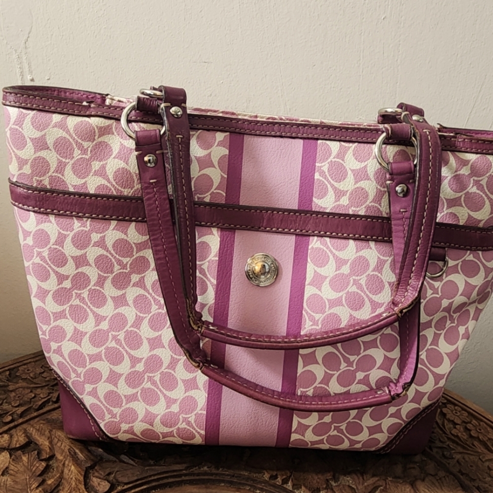 CoachPurple Patterned Women's Bag